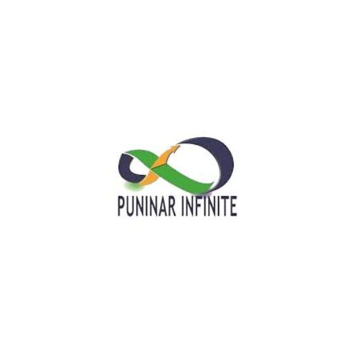 PT Puninar Infinite Raya