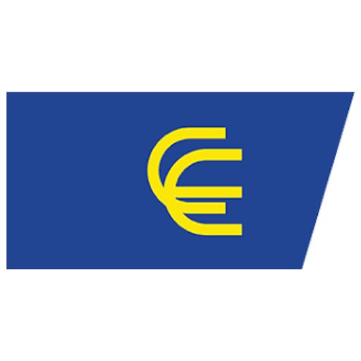 PT CARBON & ELECTRIC