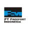 PT Freeport Indonesia (PTFI)