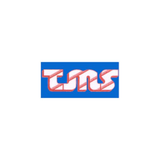 PT Timur Megah Steel