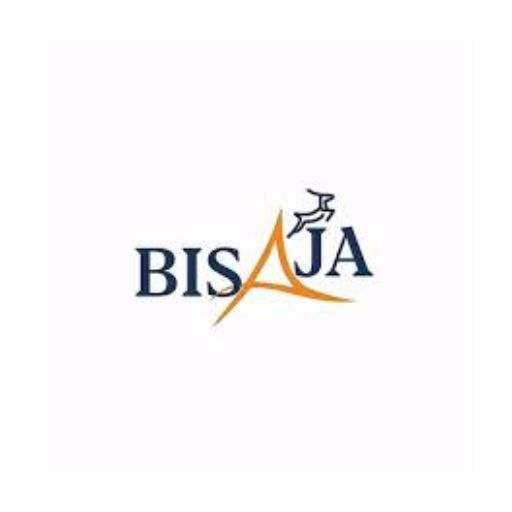 PT. Insan Kreatif Altama Indonesia (BisaAja)