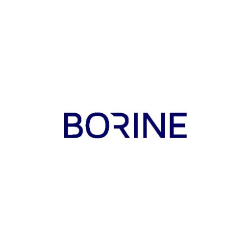 PT Borine Technology Indonesia