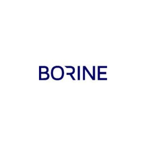 PT Borine Technology Indonesia