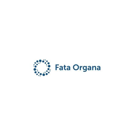 PT Fata Organa Solusi