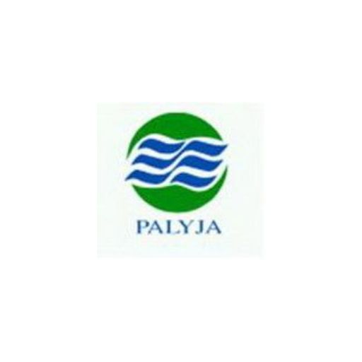 PT PAM Lyonnaise Jaya (Palyja)