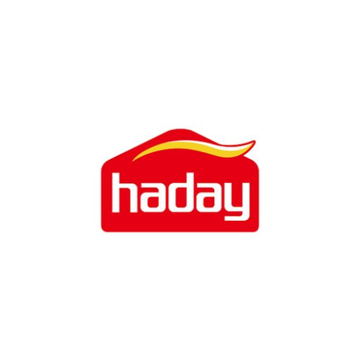 PT Foshan Haitian Flavouring and Food Company Ltd