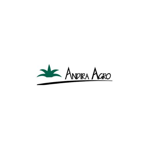 PT Andira Agro Tbk Banyuasin