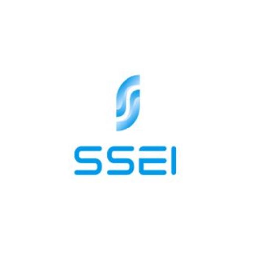 PT SHINING STAR ELECTRONIC INDONESIA